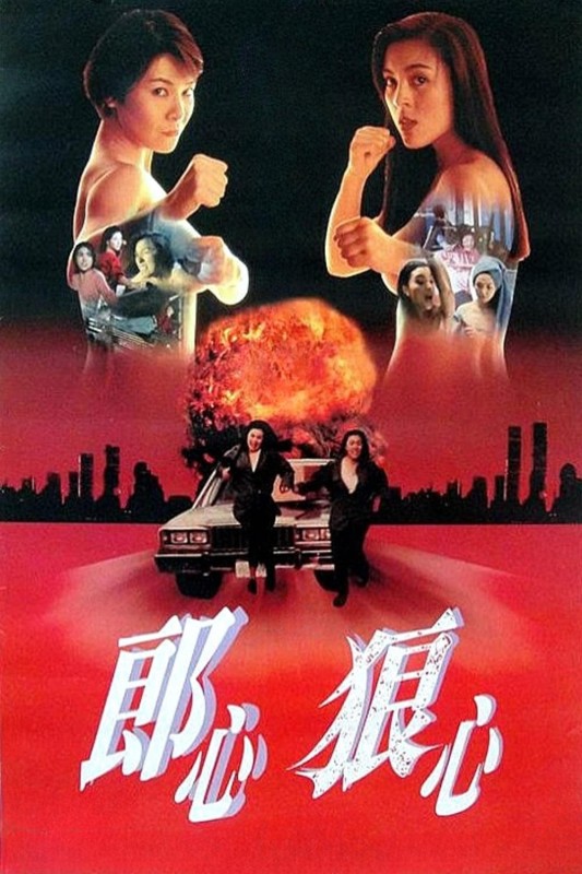 Trên Đường Bôn Tẩu - Women On The Run (1993)